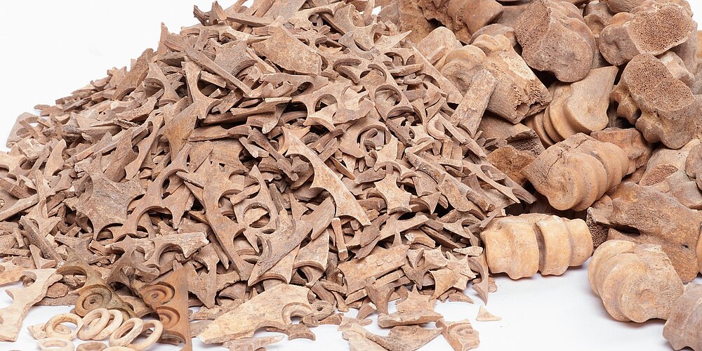 Abgeschnitte Gelenkenden, Knochenleisten mit runden Bohrungen und Knochenringlein auf einem Haufen angeordnet.